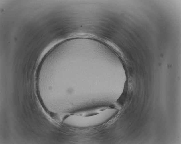 X0000083641430200703121708