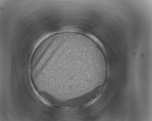 X0000083641431200703121708