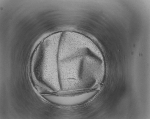 X0000083641432200703121708