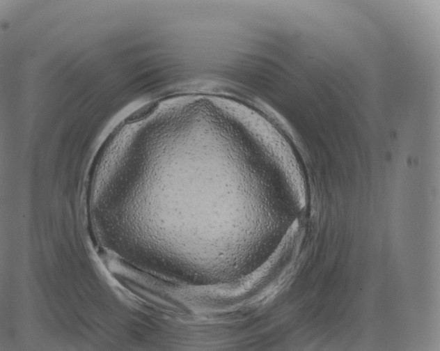 X0000083641434200703121708