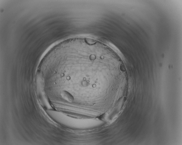 X0000083641436200703121708