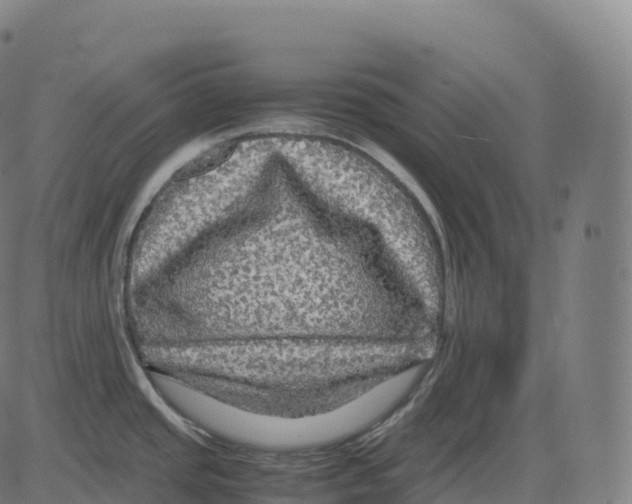 X0000083641437200703121708