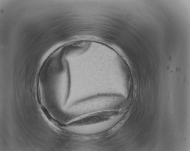 X0000083641438200703121708