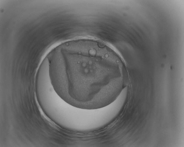 X0000083641439200703121708