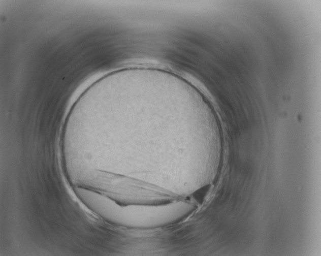 X0000083641440200703121708