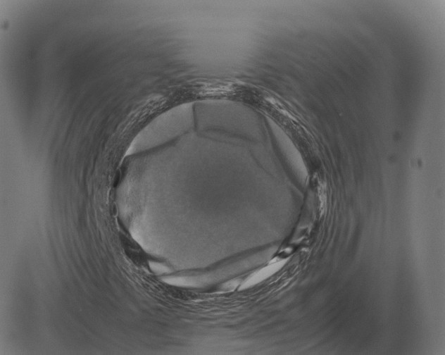 X0000083641441200703121707