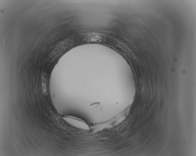 X0000083641442200703121707