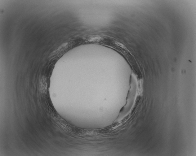 X0000083641443200703121707