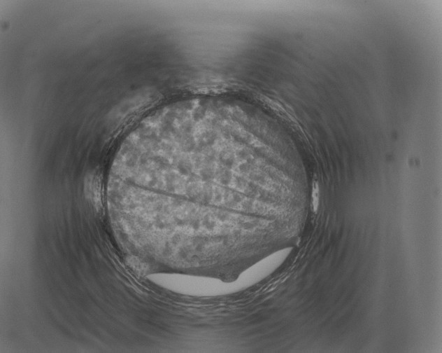 X0000083641444200703121707