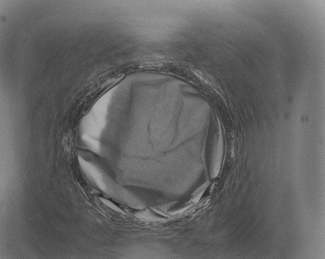 X0000083641445200703121707