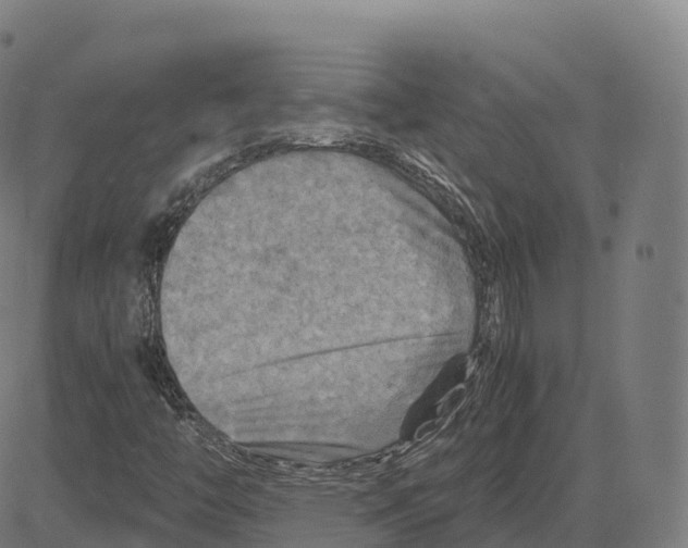 X0000083641446200703121707