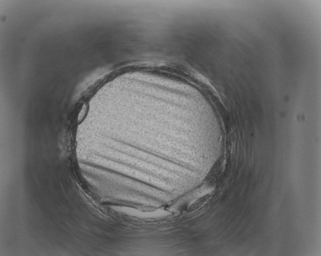 X0000083641448200703121707