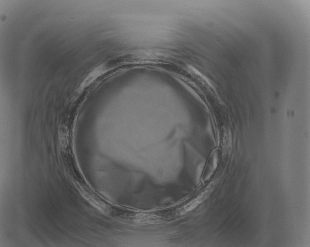 X0000083641449200703121707