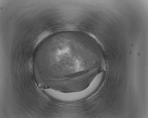 X0000083641450200703121707