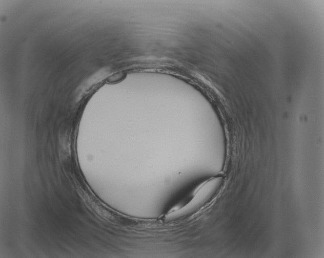 X0000083641451200703121707