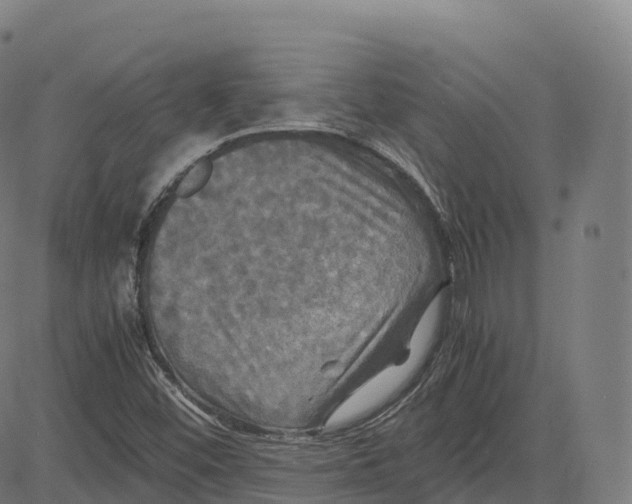 X0000083641452200703121707