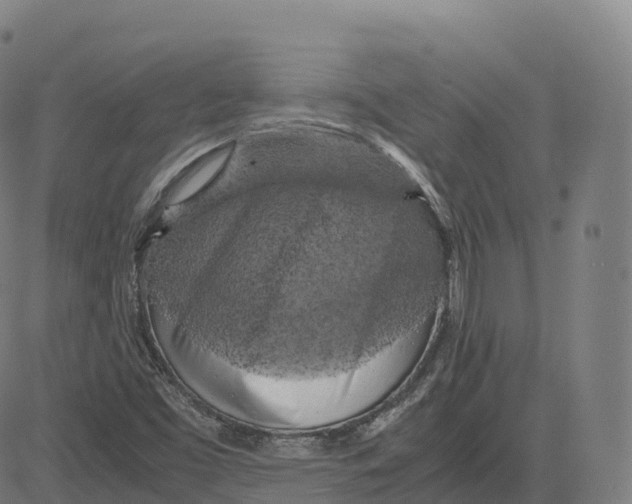 X0000083641453200703121707