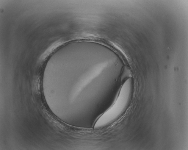 X0000083641455200703121707