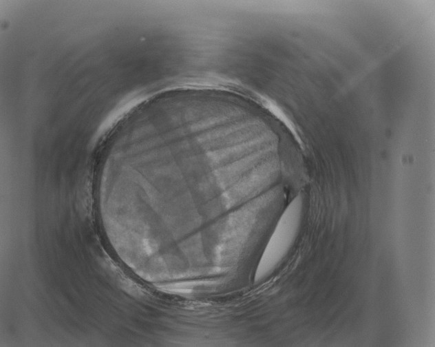 X0000083641456200703121707