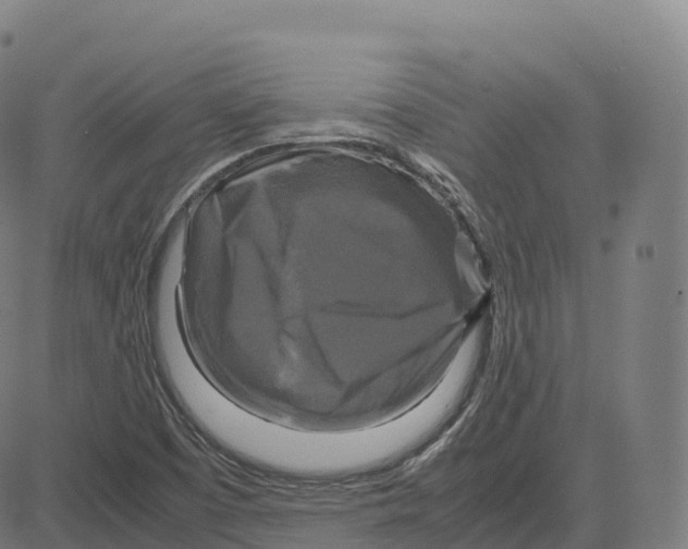 X0000083641457200703121707