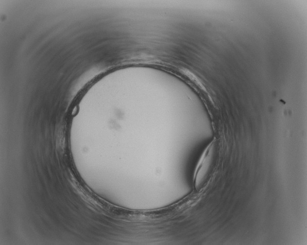 X0000083641458200703121707