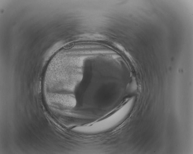 X0000083641459200703121707