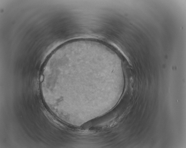 X0000083641460200703121707