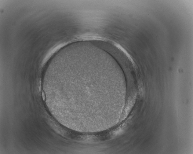 X0000083641461200703121707