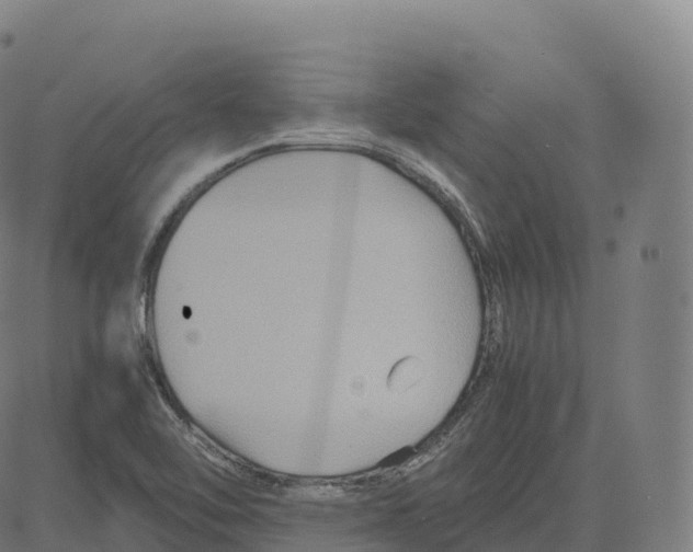 X0000083641462200703121707