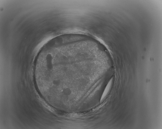 X0000083641463200703121707