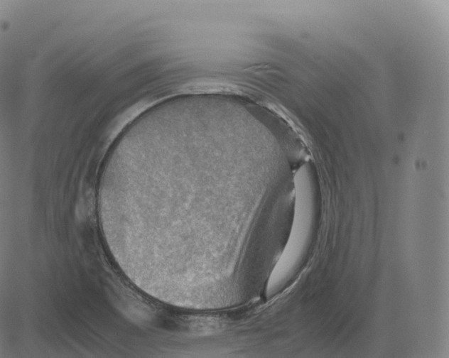 X0000083641465200703121707