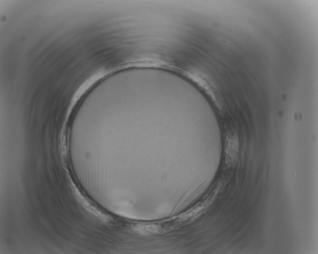 X0000083641466200703121707