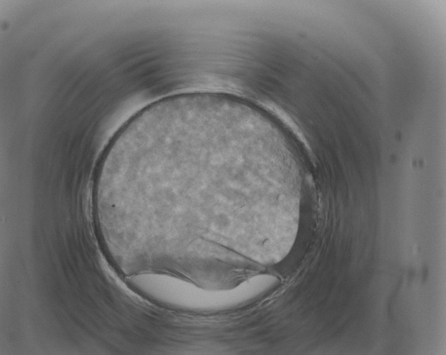 X0000083641468200703121707