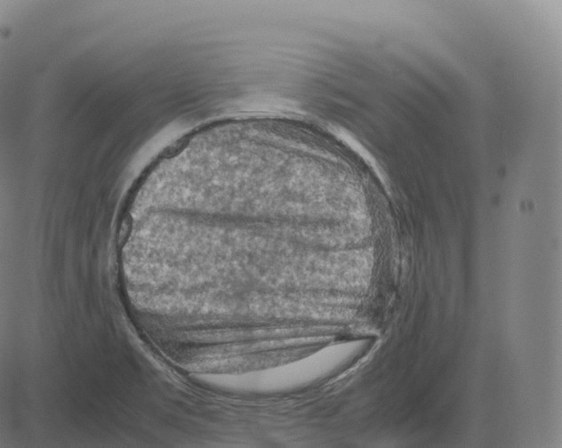 X0000083641469200703121707