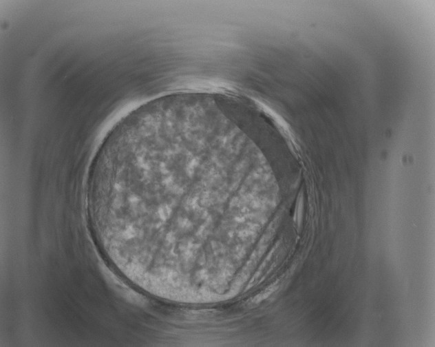 X0000083641471200703121707