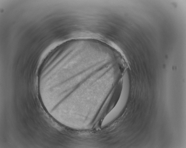 X0000083641472200703121707