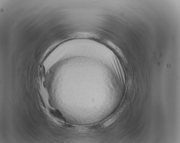 X0000083641473200703121707