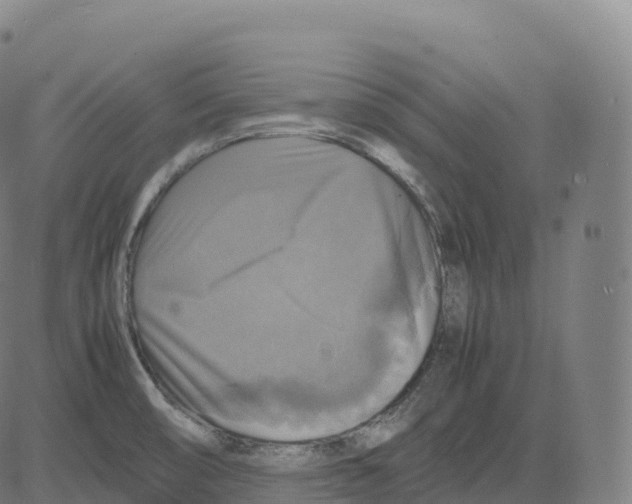 X0000083641474200703121707