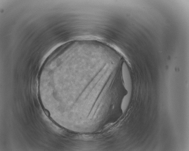 X0000083641476200703121707