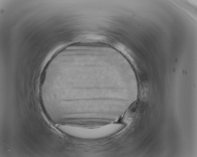 X0000083641477200703121707