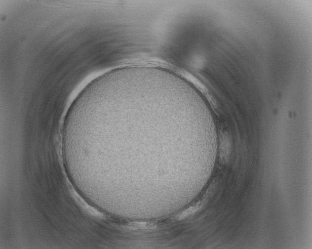 X0000083641478200703121707