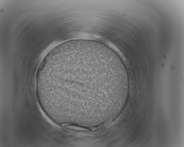 X0000083641479200703121707