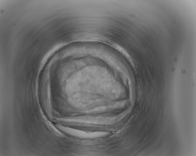 X0000083641480200703121707