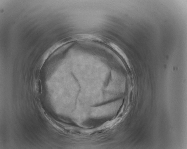 X0000083641481200703121707