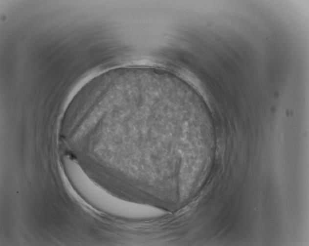 X0000083641483200703121707