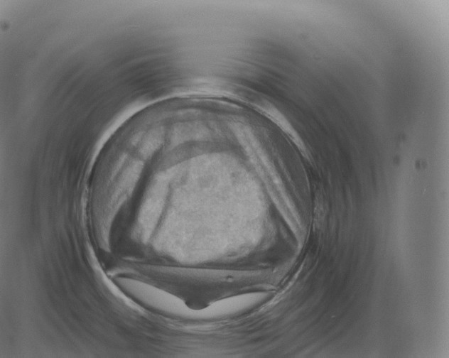 X0000083641484200703121707