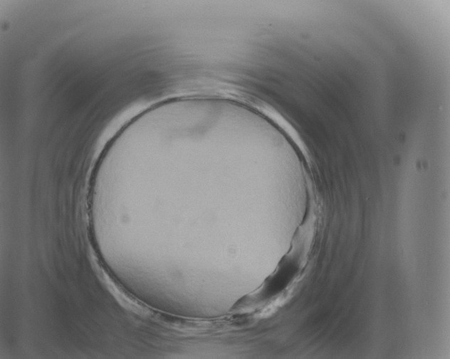 X0000083641485200703121707