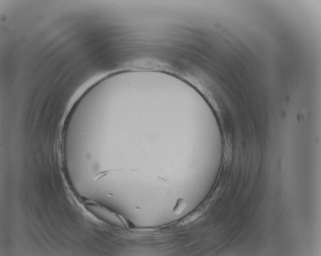 X0000083641486200703121707