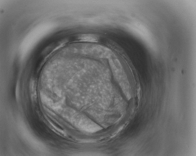 X0000083641487200703121707