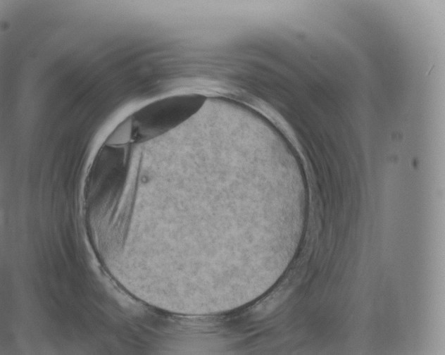 X0000083641488200703121707